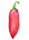 Painting of hot pepper Royalty Free Stock Photo