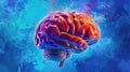 Painting of a Human Brain, Detailed Anatomy Revealed in Vivid Colors Royalty Free Stock Photo