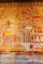 Painting image on the wall of God Anubis Shrine in Mortuary Temple of Hatshepsut Royalty Free Stock Photo