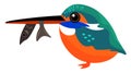 Painting of a colorful kingfisher with a fish trapped in its beak vector or color illustration Royalty Free Stock Photo