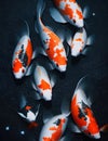 Painting of Koi fish on black starry background in dark water