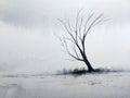 painting landscape lonely dead tree in the winter season.