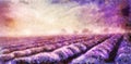 painting of lavender fields on canvas.Sunset landscape Royalty Free Stock Photo