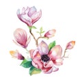Painting Magnolia flower wallpaper. Hand drawn Watercolor floral Royalty Free Stock Photo