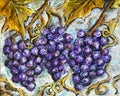 Ripe Red Grape Illustration Painting