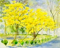 Painting original landscape yellow, orange color of golden tree flower Royalty Free Stock Photo