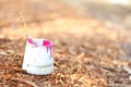painting outdoors. pink paint in a bucket on bark