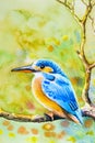 Painting on paper colorful of alone bird on a branch Royalty Free Stock Photo