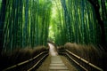 a painting of a path through a bamboo forest. generative ai Royalty Free Stock Photo