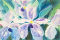 Painting purple color of vanda coerulea orchid flower Royalty Free Stock Photo