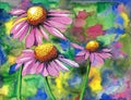 Painting of purple coneflower