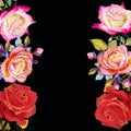 Painting red pink and orange color of roses flowers. Royalty Free Stock Photo