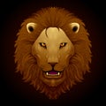 Painting. Roaring lion, vector illustration, isolated on a black background Royalty Free Stock Photo