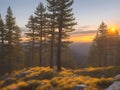 A painting serene sunset over a pine forest Royalty Free Stock Photo