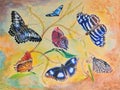 Painting of Seven Butterflies Royalty Free Stock Photo