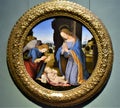 Painting in the shape of a circle, in which the Madonno who adores the baby Jesus is represented, at the Uffizi museum in Florence