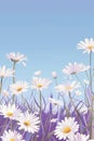Field of Daisies With Blue Sky Royalty Free Stock Photo