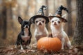 In this painting, three chihuahuas are dressed up for Halloween. Royalty Free Stock Photo