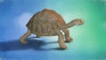Painting of a Turtle