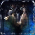 Painting two white horses, Color effect. Royalty Free Stock Photo