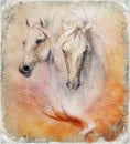 Painting two white horses, vintage abstract background. Royalty Free Stock Photo