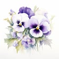 Elegant Pansy Watercolor Painting With White Paloma Flowers Royalty Free Stock Photo