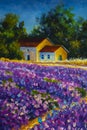painting warm old rural house farmhouse in the purple lavender field