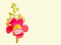 Painting watercolor colorful of Sal flower bouquet in white background Royalty Free Stock Photo