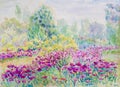 Painting watercolor landscape colorful of daisy flowers in garden