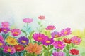 Painting watercolor landscape original colorful of daisy flowers Royalty Free Stock Photo