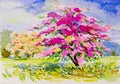 Painting watercolor landscape original on paper colorful of paper flowers. Royalty Free Stock Photo