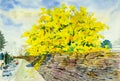 Painting watercolor landscape of golden tree flowers Royalty Free Stock Photo