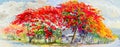 Painting waterlcolor of red peacock flower tree roadside