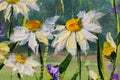 Painting of white daisies flowers, beautiful field flowers on canvas. Palette knife Impasto artwork.