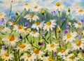 Painting of white daisies flowers, beautiful field flowers on canvas. Palette knife Impasto artwork. Royalty Free Stock Photo