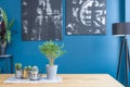 Paintings in blue dining room interior Royalty Free Stock Photo