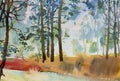 Paintings forest- Watercolor landscape of trees growth concept and ecology Royalty Free Stock Photo