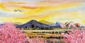 Paintings plane travel colorful of cherry blossom, hot air balloon festival