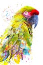 Paintography. Double exposure photograph of a tropical parrot combined with colorful hand drawn painting