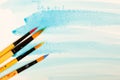 Paints and brushes Royalty Free Stock Photo