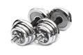 A pair of adjustable dumbbells on white background Royalty Free Stock Photo