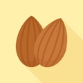 Pair of Almond Nuts Flat Vector Illustration Royalty Free Stock Photo