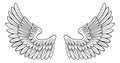 Pair of Angel or Eagle Bird Wings