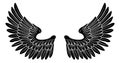 Pair of Angel or Eagle Bird Wings Royalty Free Stock Photo