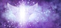 Beautiful purple blue sparkle Angel Wings Message Board Royalty Free Stock Photo