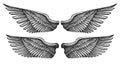 Pair of angel wings in vintage engraving style. Hand drawn heraldic bird wing. Vector illustration Royalty Free Stock Photo