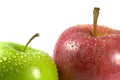 Pair of apples Royalty Free Stock Photo