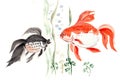 Pair aquarium goldfishes with air bubbles and plants closeup. Watercolor hand drawn in Chinese technique go-hua with paper texture