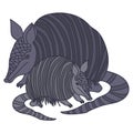 Pair of armadillos, mom and baby animal in doodle style