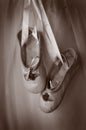 A pair of ballet slippers